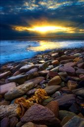 Taken during hide tide at Long Reef on Sydney's nortern beaches: by jq1, Views[332]