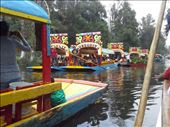 Xochimilco in Mexico City: by jrdenola, Views[168]