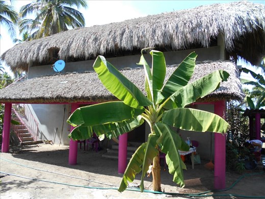 Home of crazy spanish lady