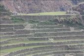 Walking on the rocks that create the terraces' steps - tourists traverse the steep steps and slim paths. A different experience from this distant view. from afar.   It is also a challenge to the legs, given the distance and incline. But it is easy work to local Ifugaos who walk the paths daily to work on their rice fields.: by jsanjuan, Views[822]