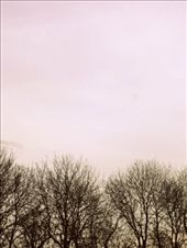 by jscottmavroudi, Views[135]