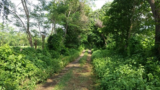Off the road and onto a 20 minute hike up the dirt road towards Inanitah