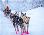 Hitting the Trail: by judeconning, Views[418]