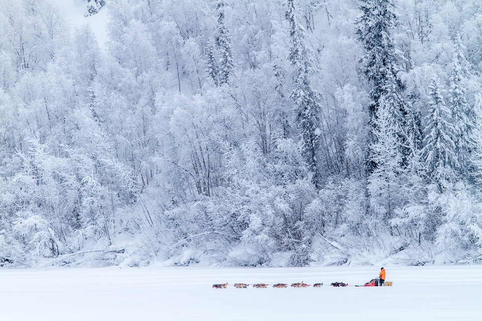 Out on the Yukon River