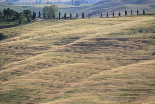 Fields of Dreams #2 - It was late afternoon and the sun was beginning to move low in the summer sky.  With each passing minute shadows began to dance lover the sprawling wheat fields and valleys.  The wheels of the tractor that harvested the land seemed to leave behind a signature of synchronicity and oneness with the land.  The temperature was unseasonably cool as this was taken on the road from the direction of Monticchiello .  Countryside near Pienza in the Val d'Orcia region of Tuscany, Italy - June 12, 2013