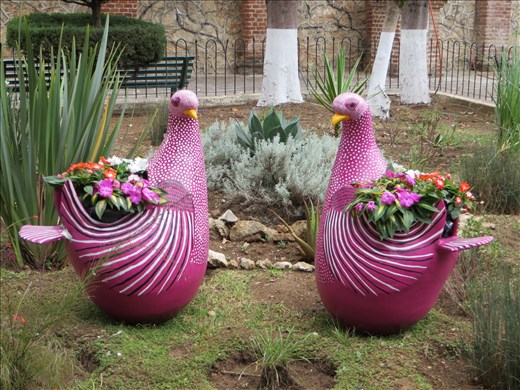 Local pots in a Plaza - San Cristobel