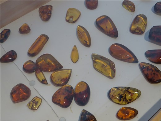 Amber in museum - San Cristobel
