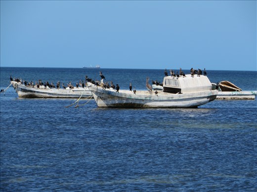 Gulk Mexico off Malecon Campeche