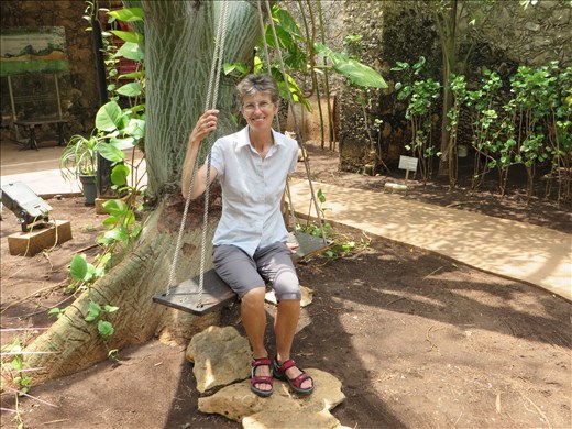 In a little botanic garden - Campeche