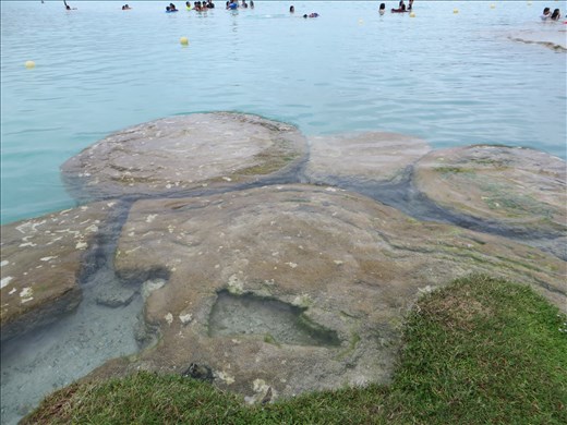 Stromatoites - Bacalar lagoon