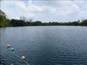 Cenote Azul - Bacalar: by jugap, Views[394]