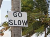 Caye Caulker motto: by jugap, Views[368]