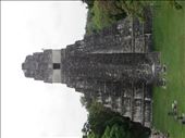 Tikal: by jugap, Views[412]