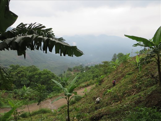 View from road out of Utopia