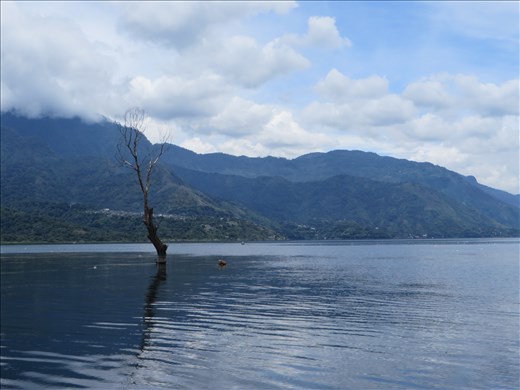 San Pedro la Laguna - view from verandah