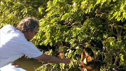 Granada - feeding spider monkey on an isaleta
