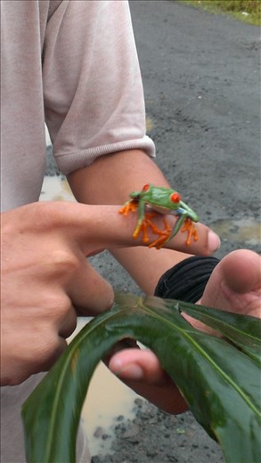 A Local - La Fortuna