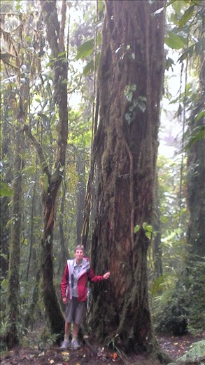 Cloud Forest - Santa Elena