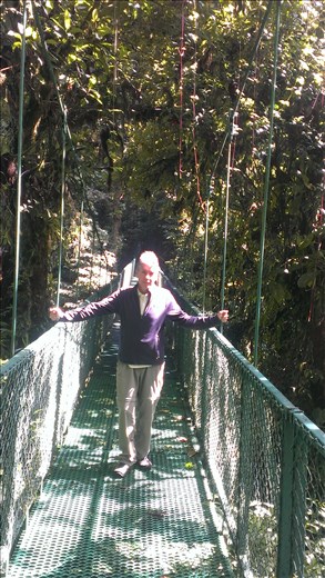 Hanging Bridge - Treetop - Santa Elena