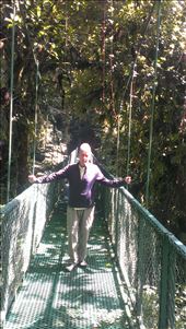 Hanging Bridge - Treetop - Santa Elena: by jugap, Views[361]