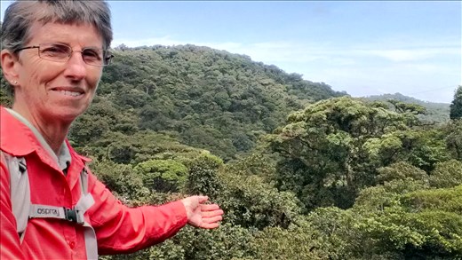 View from Hanging bridge - Santa Elena