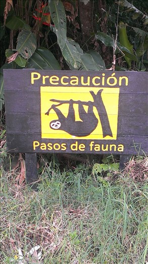 Street sign - Santa Elena