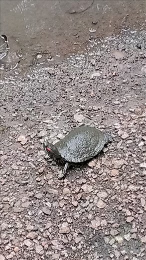 National Park - Panama city