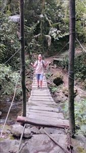 Bridge crossing - Valle de Cocora: by jugap, Views[306]