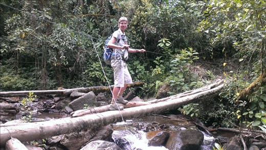 Bridge crossing - Valle de Cocora