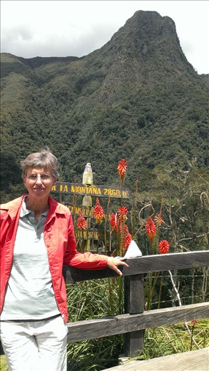 Mountain top view - Valle de Cocora