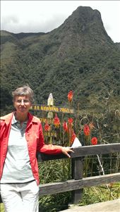 Mountain top view - Valle de Cocora: by jugap, Views[163]