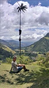 Views down Valle de Cocora: by jugap, Views[146]