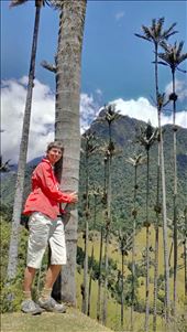 Views down Valle de Cocora: by jugap, Views[143]