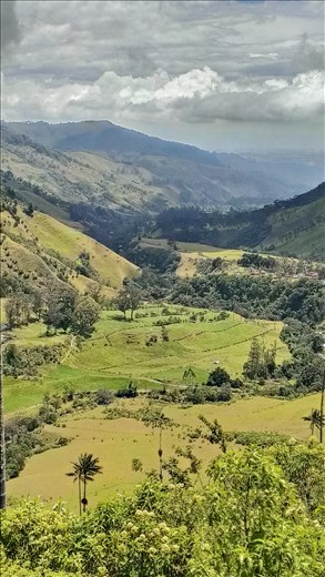 Views down Valle de Cocora