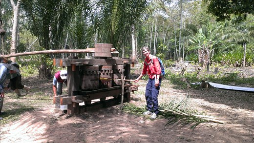 Jungle - A local hand driven sugar cane press