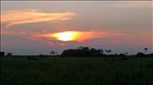 Pampas - sunset: by jugap, Views[296]