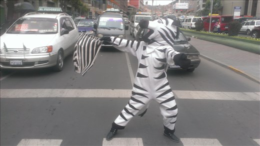 La Paz - crossing monitor (also in Sucre)
