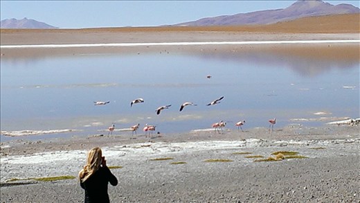SFT - Day 2 - laguna with bicarb crusts