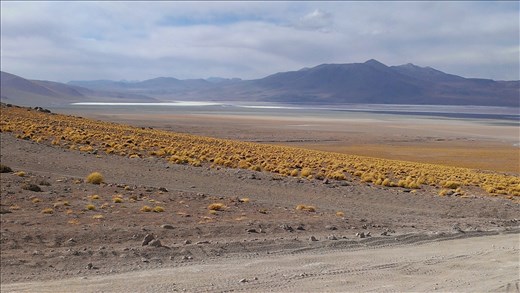 SFT - Day 2 -  views