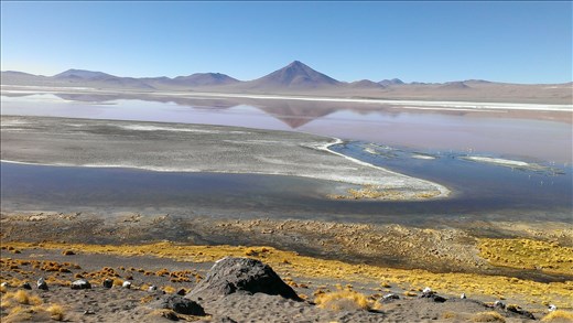 SFT - Day 3 - Morning reflections on Laguna Colorada
