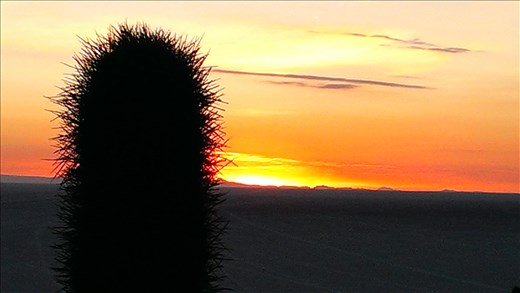 SFT - Day 4 - early glimpse of sunrise