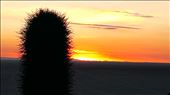 SFT - Day 4 - early glimpse of sunrise: by jugap, Views[188]