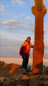 SFT - day 4-sunrise: by jugap, Views[167]