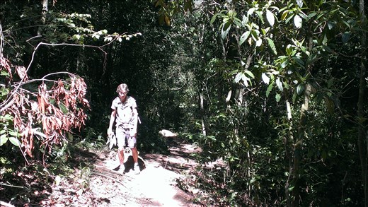 Ilha Grande - Abraao area
