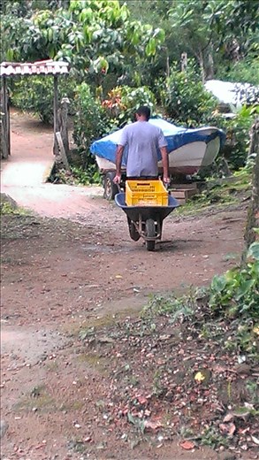 Ilha Grande - Abraao - local goods transport system (no cars)