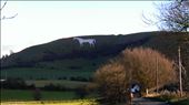 Westbury - chalk horse in hillside: by jugap, Views[343]