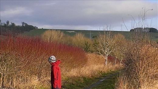 Devizes - on Roundway hill