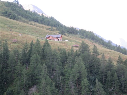 Last view Refugia Bonarti