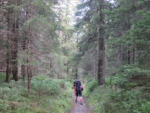 Hiking just out of Champex-Lac