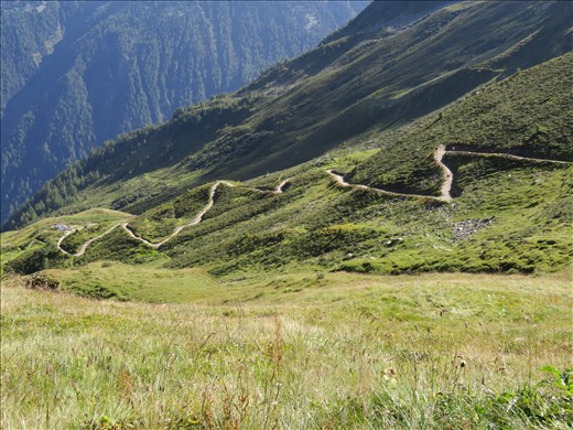 Looking back on track up